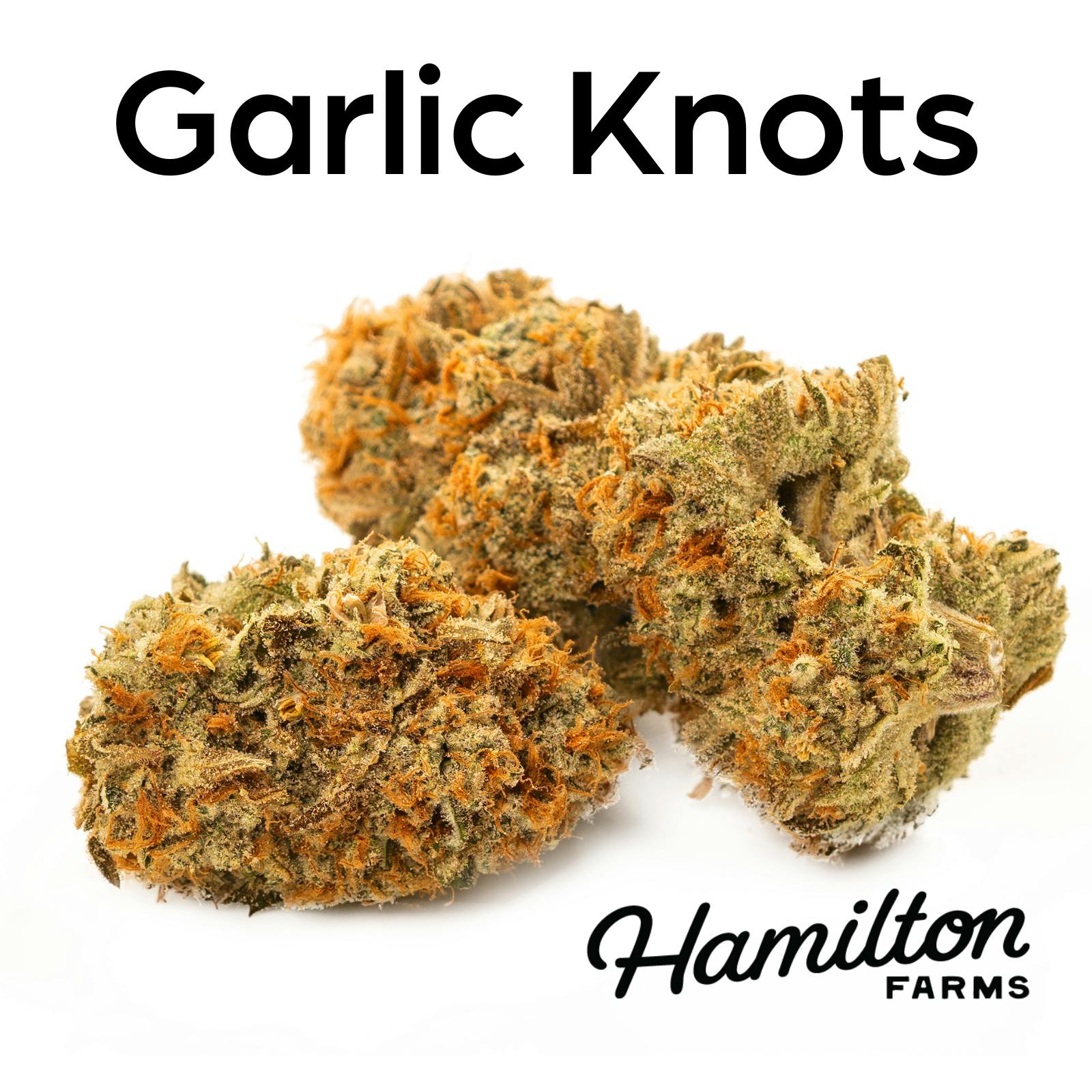 Garlic Knots-1