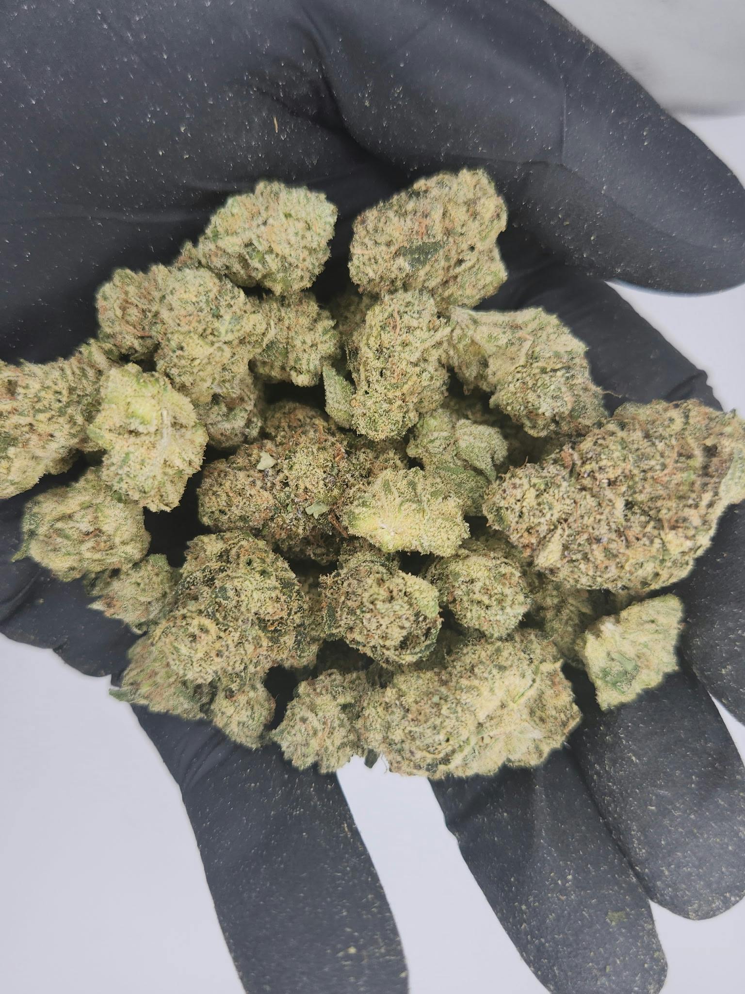 Product: Primo Danks | Bulk Bud - Ruthless Runtz
