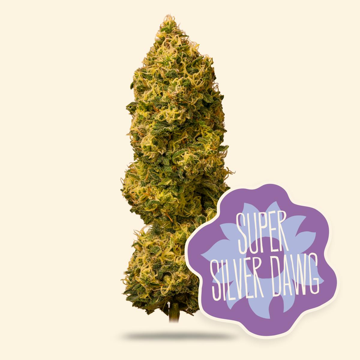 District Cannabis Super Silver Dawg - Cookies D.C. Cannabis