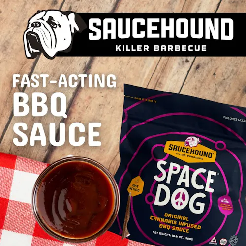Space Dog BBQ Sauce | 100mg 20 Servings-1