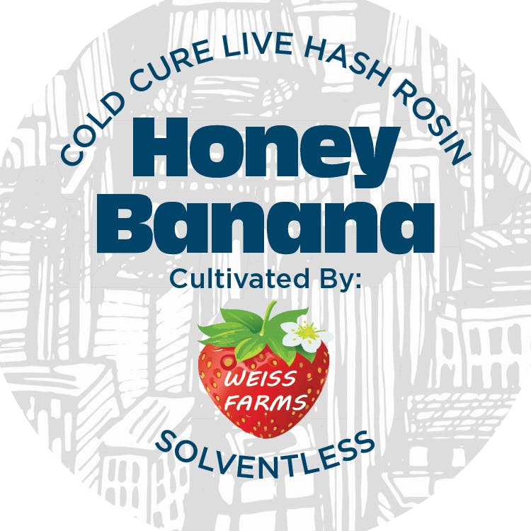 Concentrate | NYCE | Honey Banana | Rosin Jar | 1g