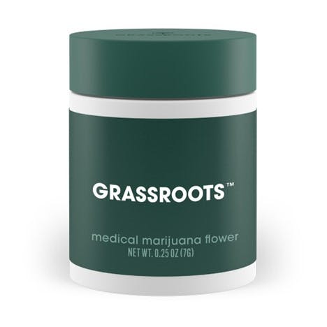 Grassroots Motor Breath Popcorn Flower