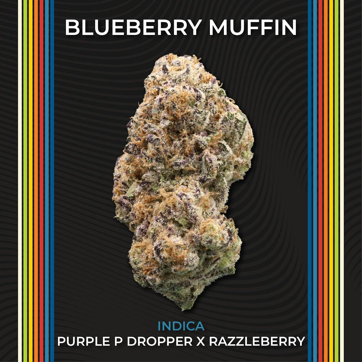 Photo of Blueberry Muffin