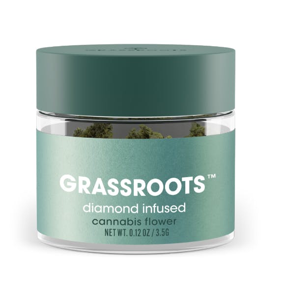 Jayna's Sunshine | Infused