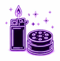 Accessories category image