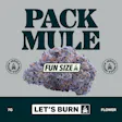Mule Let's