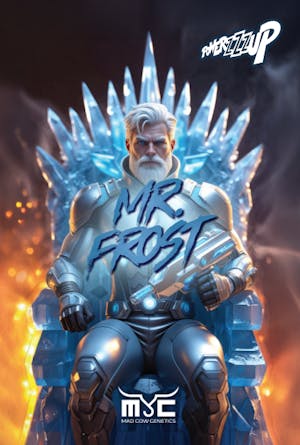 Powerzzzup Smalls Mylar Bag | Mr Frost