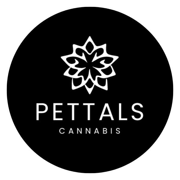 Hat - Pettals | Pettals Beanie (Cream)