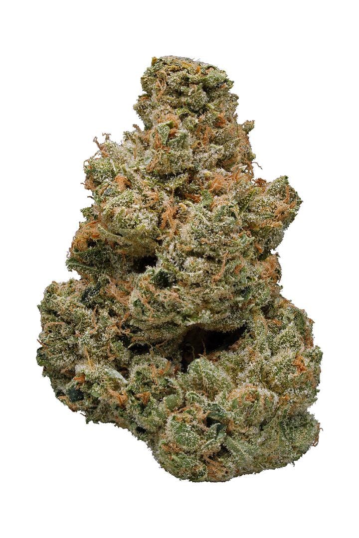 Product: Sin City Grapes #10 | Dutch Touch Genetics