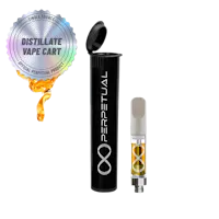 provisions disposable vape pen Disposable Vape Burnt Taste Fix and 5 Instant Solutions - Mr Fog