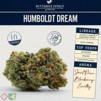 Humboldt Dream Smalls