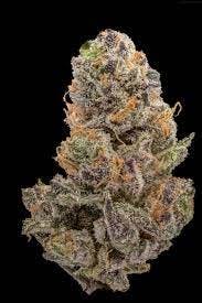 image of Garlic Crusher | 3.5