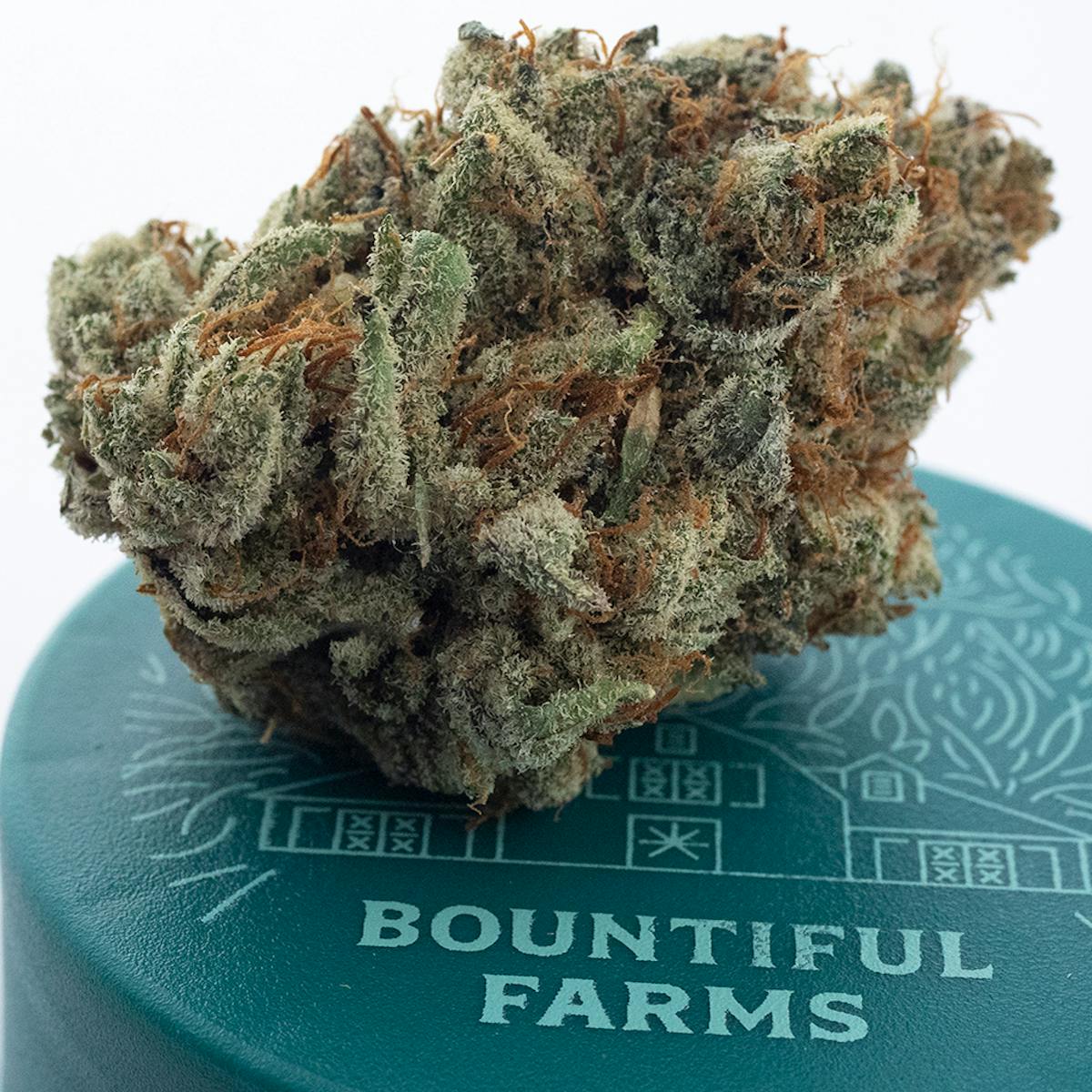 Photo of Colorado Bubba 3.5g Flower Bountiful Farms