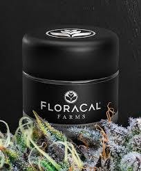 Product CL Floracal Flower - Dew Too 3.5g (Sativa)