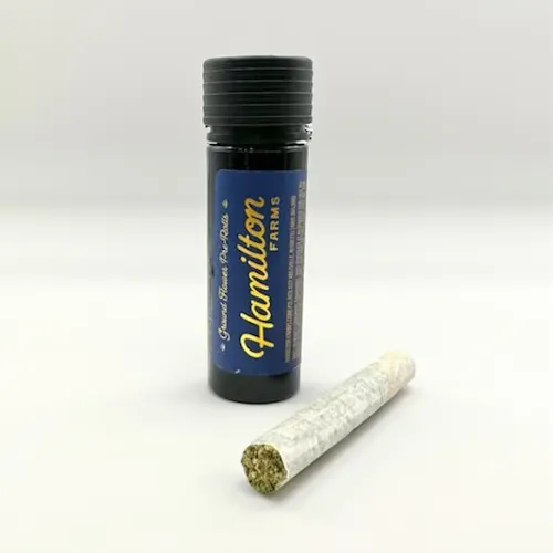 Hamilton Farms | Critical Hog | Single Pre Roll | 1g-active