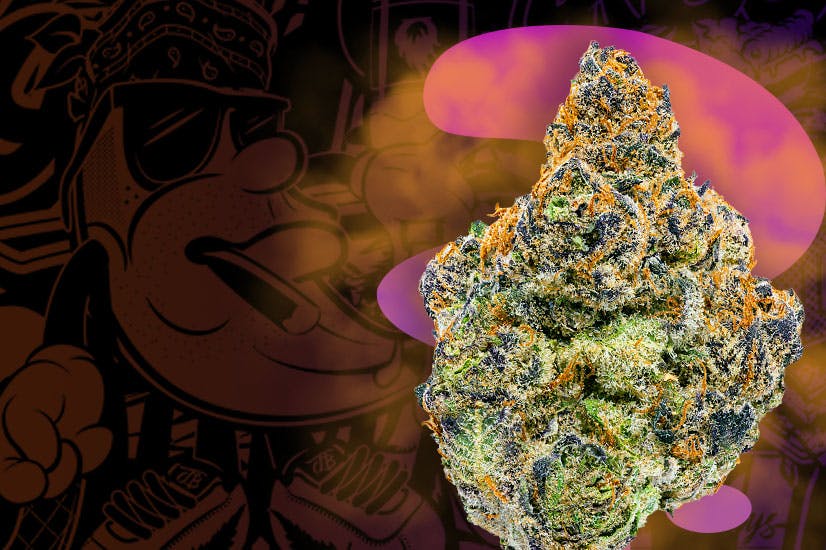 $30 Premium 1/8s deals in Bonita Springs | Jungle Boys