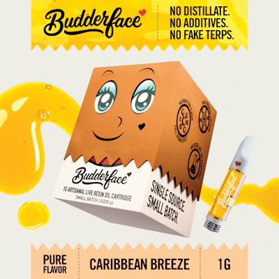 BUDDERFACE | Caribbean Breeze | 1G | Artisanal Live Resin 510 Disposable Cart - CARTRIDGES by Budderface at King of Budz