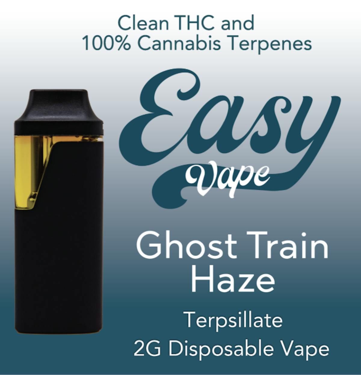 Image of Ghost Train Haze | 2g Distillate Disposable