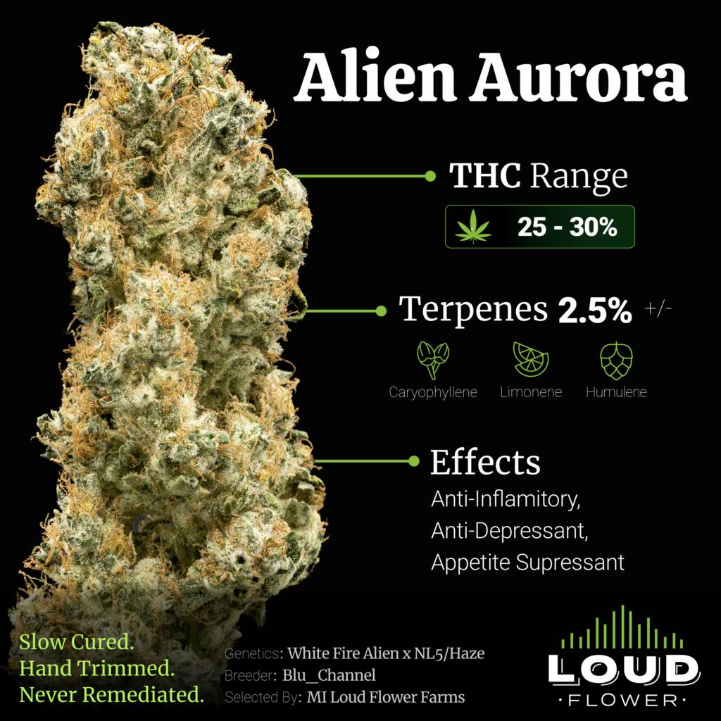 Product: MI Loud Flower | Bulk Bud - Alien Aurora