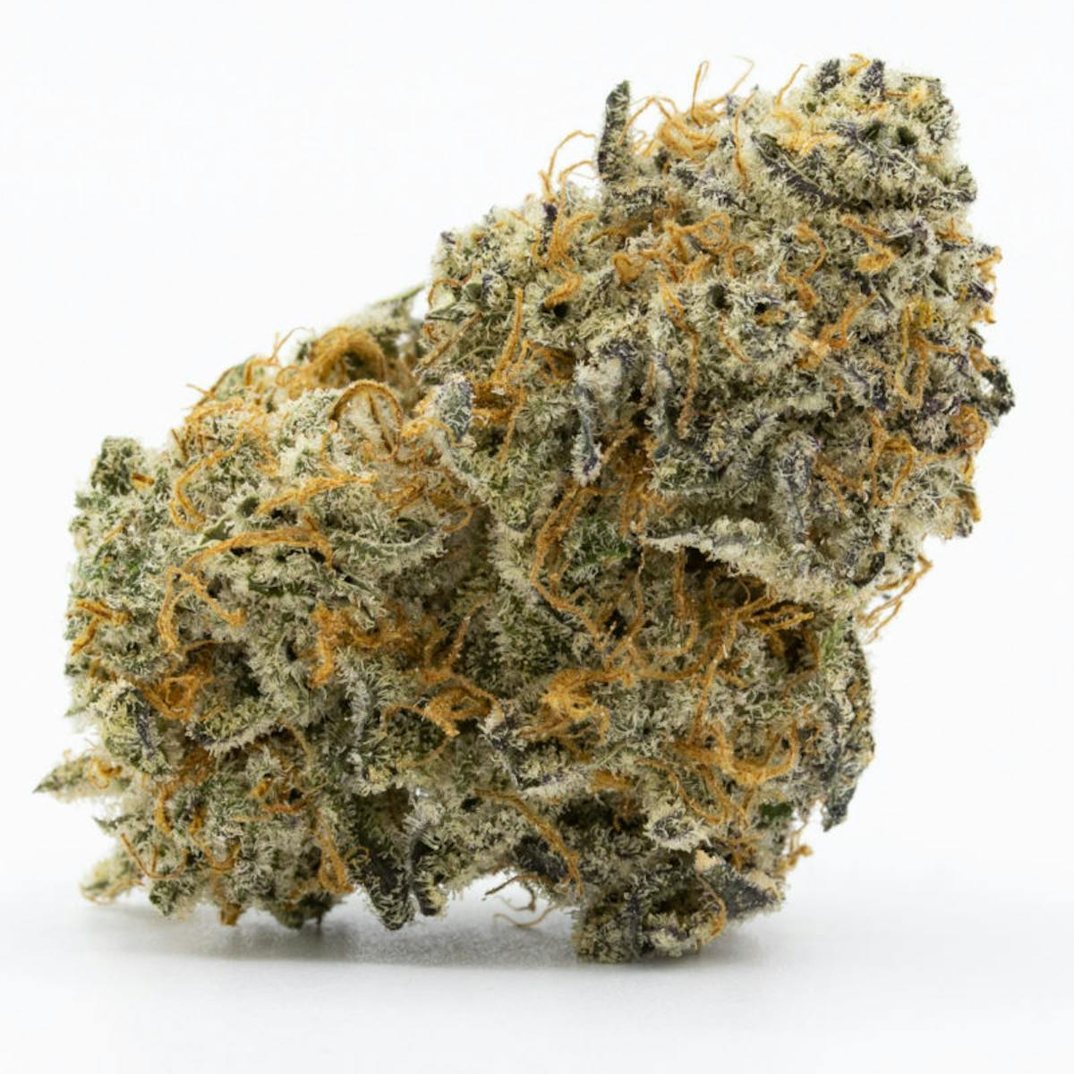 Image of TT Sprinkles | 14g Flower