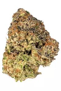 Common Citizen COMMON CITIZEN | PURPLE PUNCH CAKE | BULK | HYBRID — FLOWER