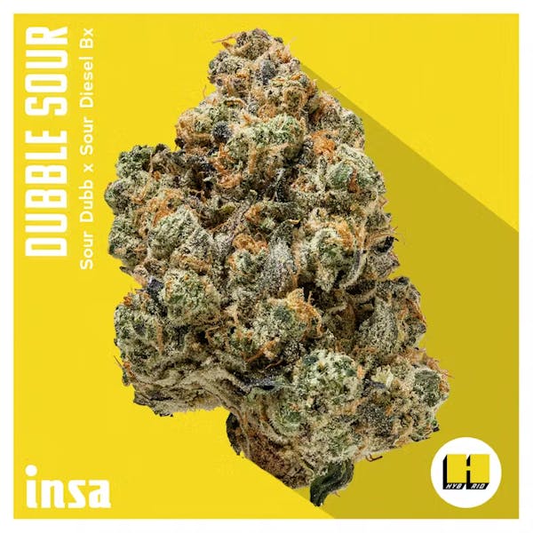 Dubble Sour (SH) - 3.5g - INSA