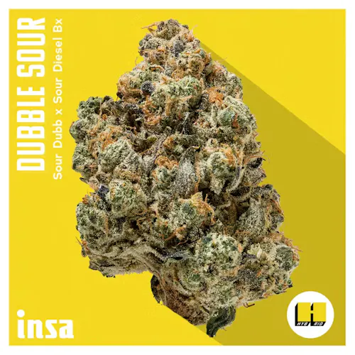 Dubble Sour (SH) – 3.5g – INSA-active
