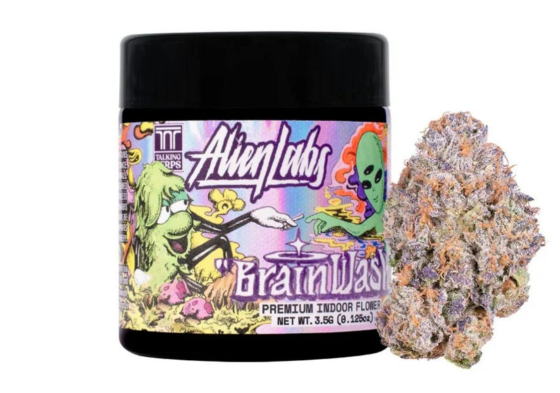Adirondack Alien Labs Brain Wash