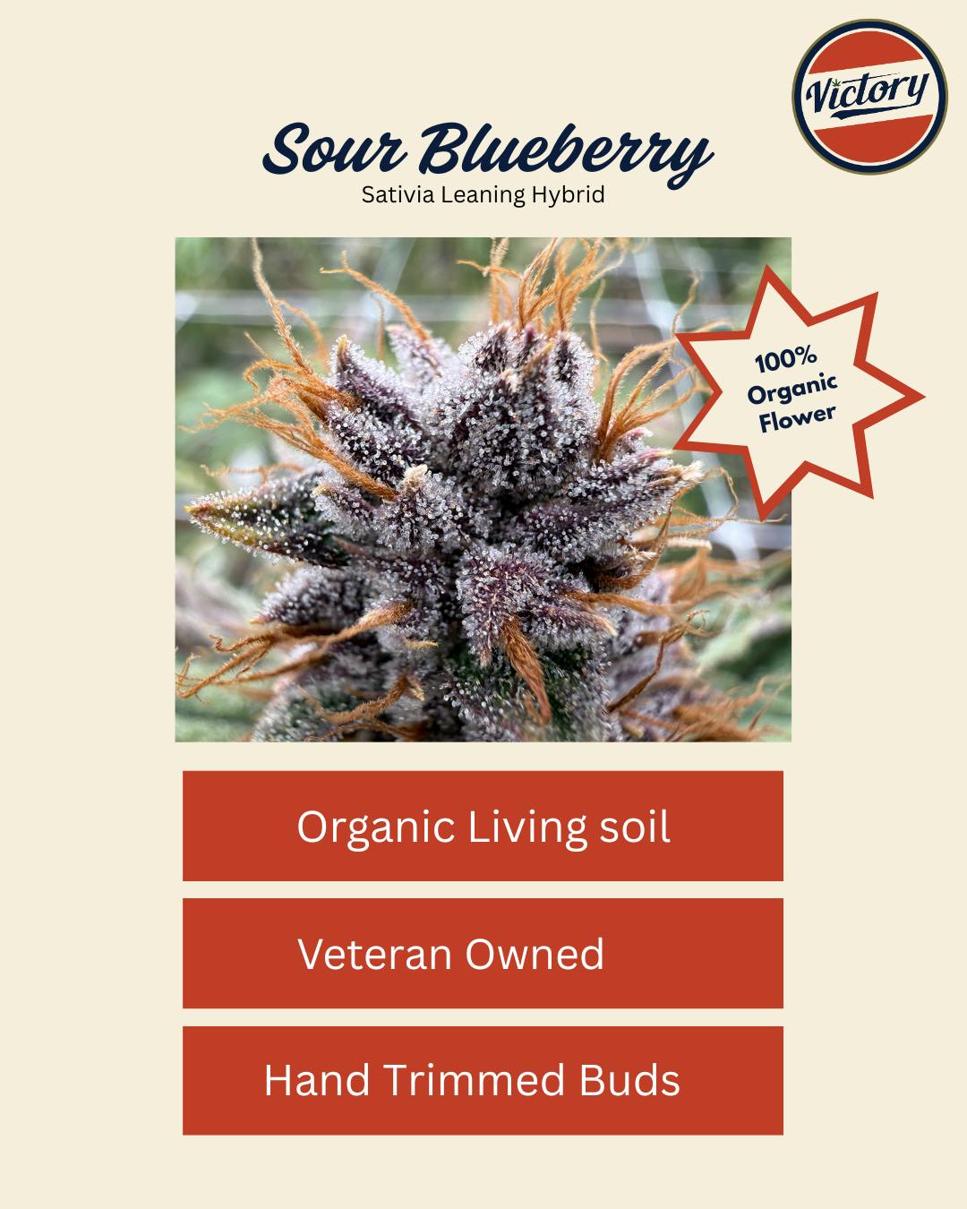 40% Off Victory Farms
