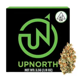 UpNorth 3.5g Jar - Peach Z | Harborside (San Leandro)