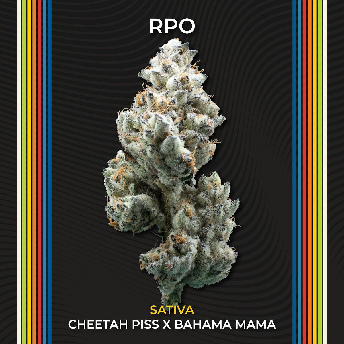 Photo of RPO #3
