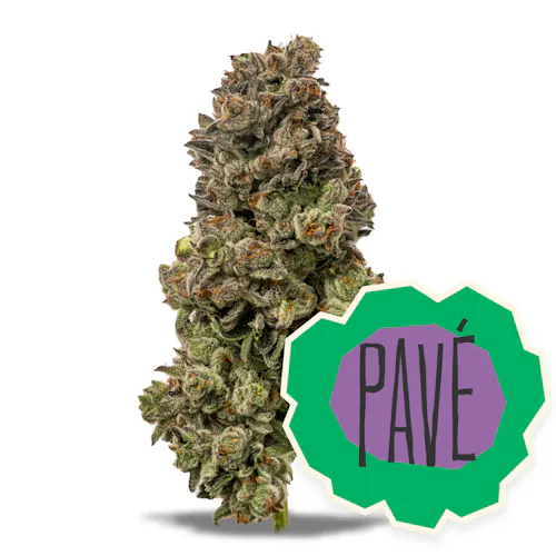 Pav Flower 3.5g-3
