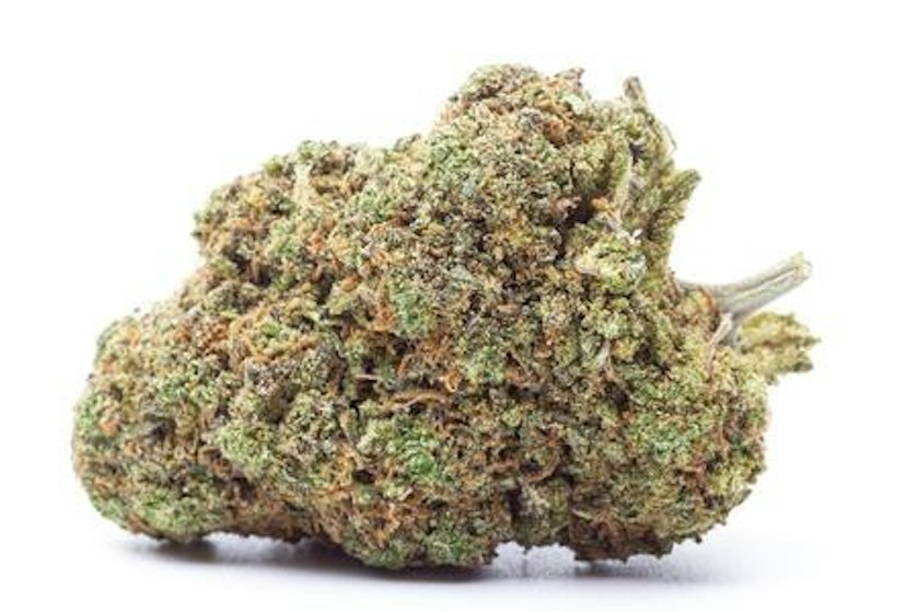 OAK CANNA | DELI FLOWER | SOUR RUNTZ *SMALLS* | $7/G