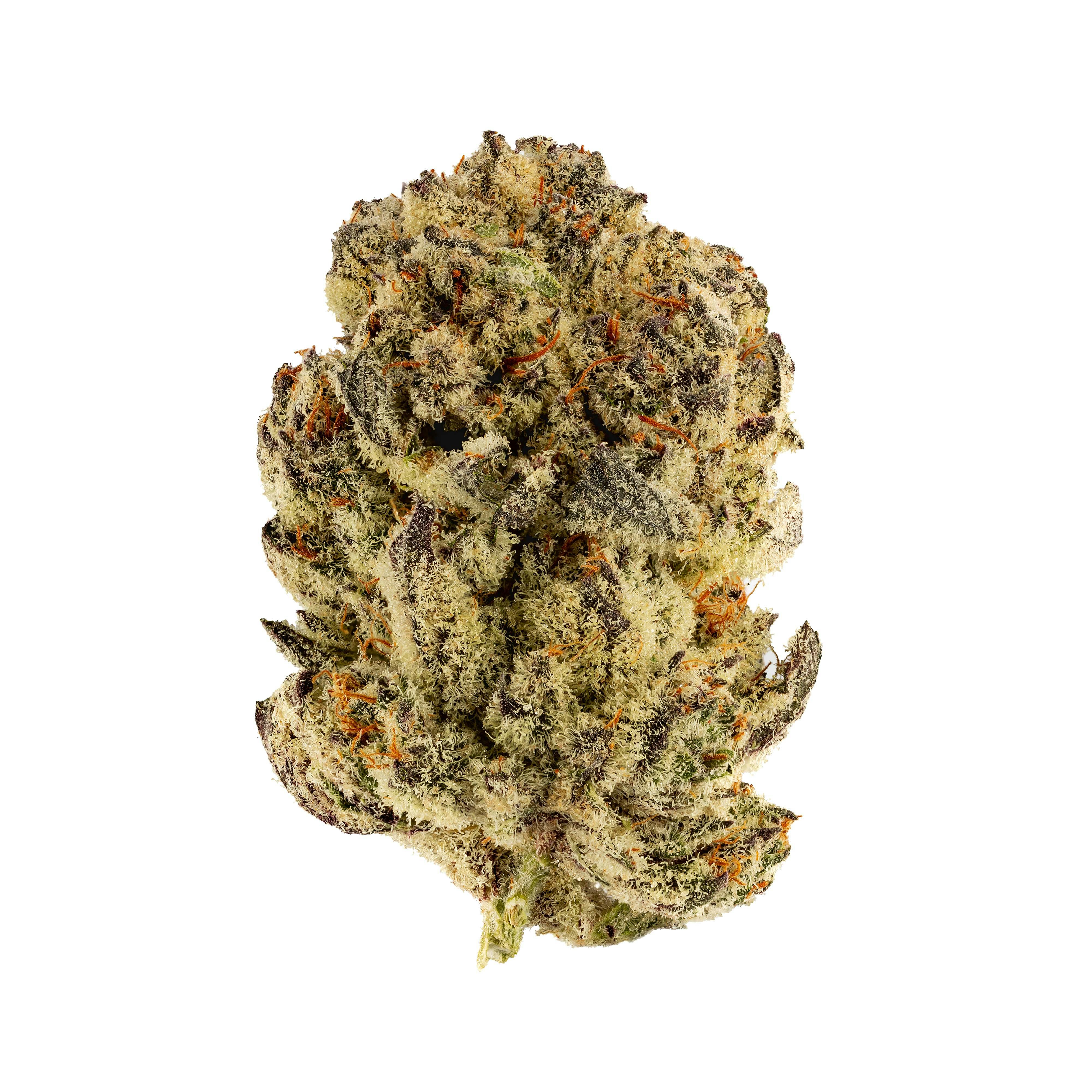 Oreoz - 3.5g | Smyth Cannabis Co.