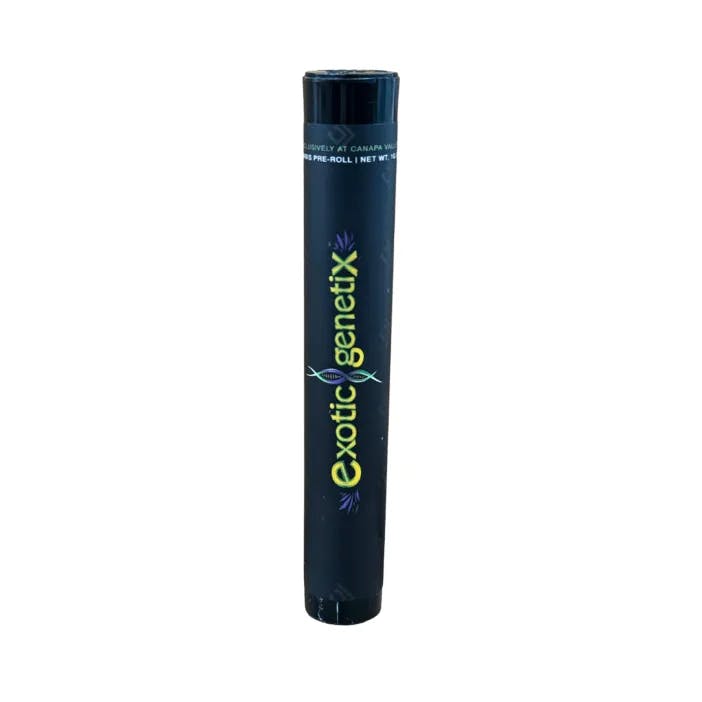Exotic Genetix - 1g Infused Preroll - Gelato Mint