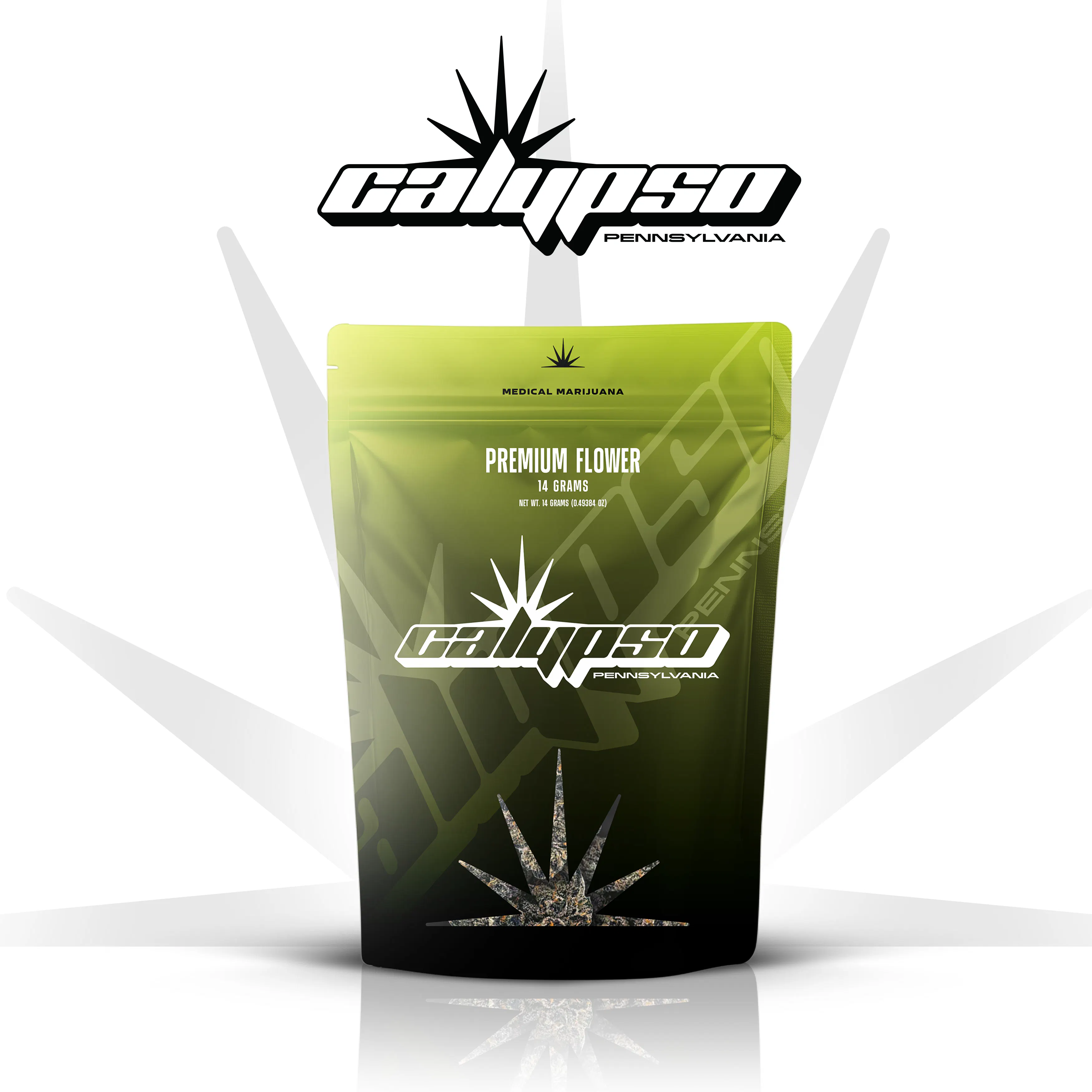 Guzzlerz | 14g at FLUENT Annville