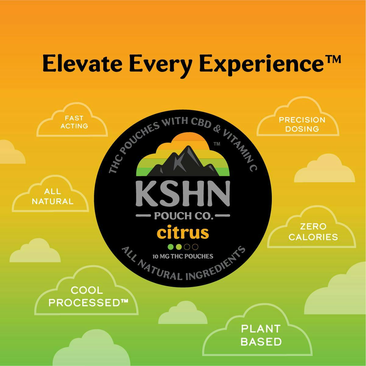 Product: KSHN | CITRUS | THC POUCH | 200MG