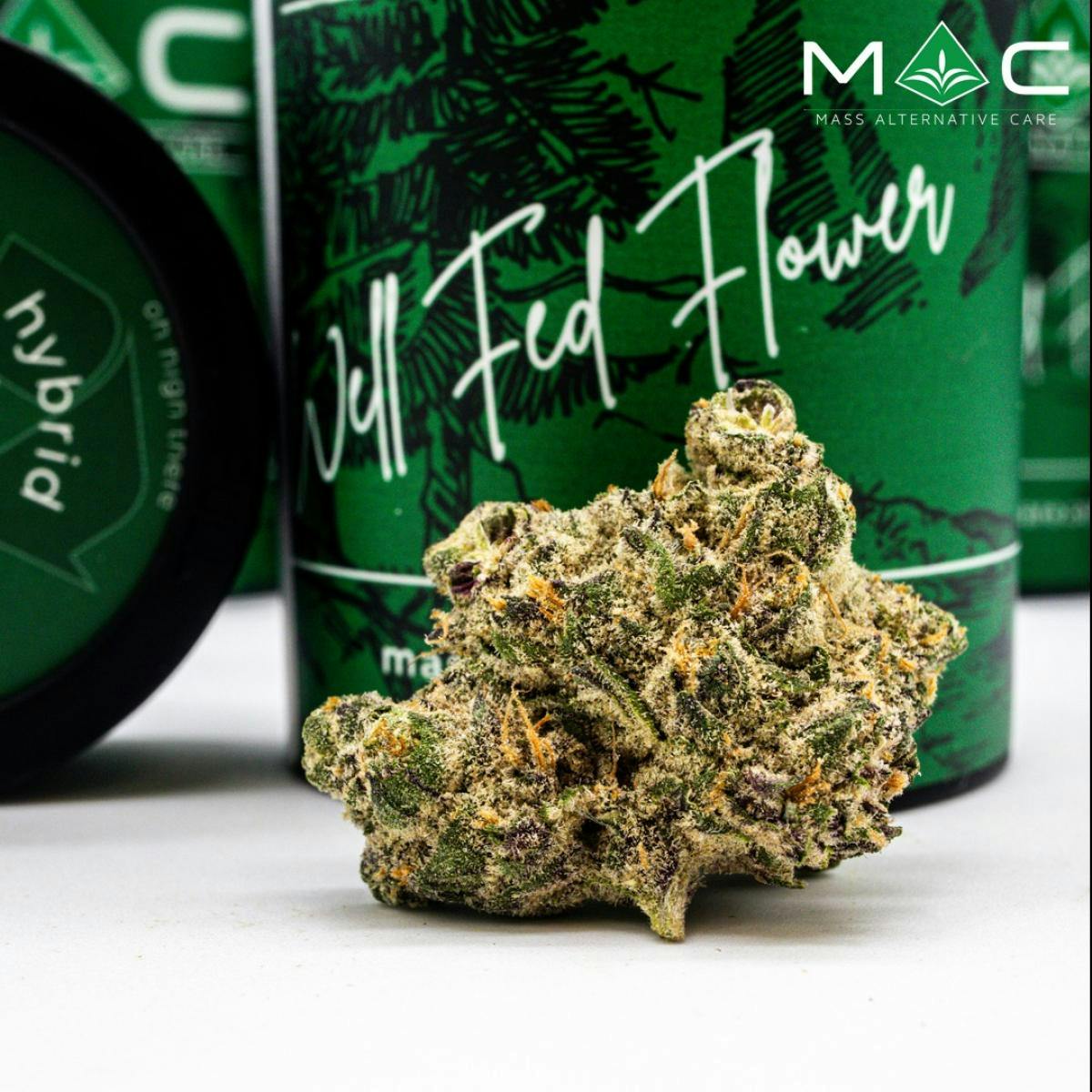 Product Nor'Cheeser #1 | Flower | 3.5g