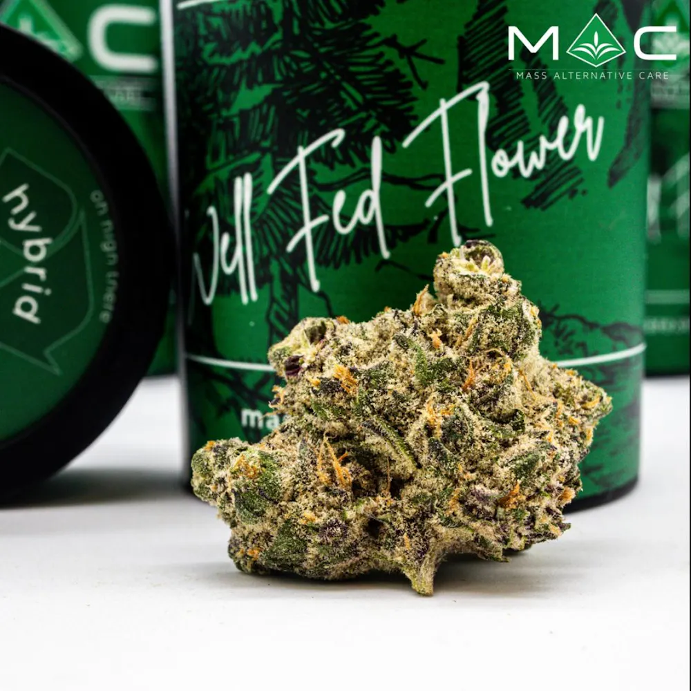 Product Nor'Cheeser #1 | Flower | 3.5g