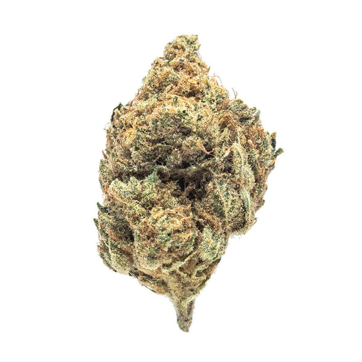 Photo of Gold Shelf – Platinum Cookies (H)