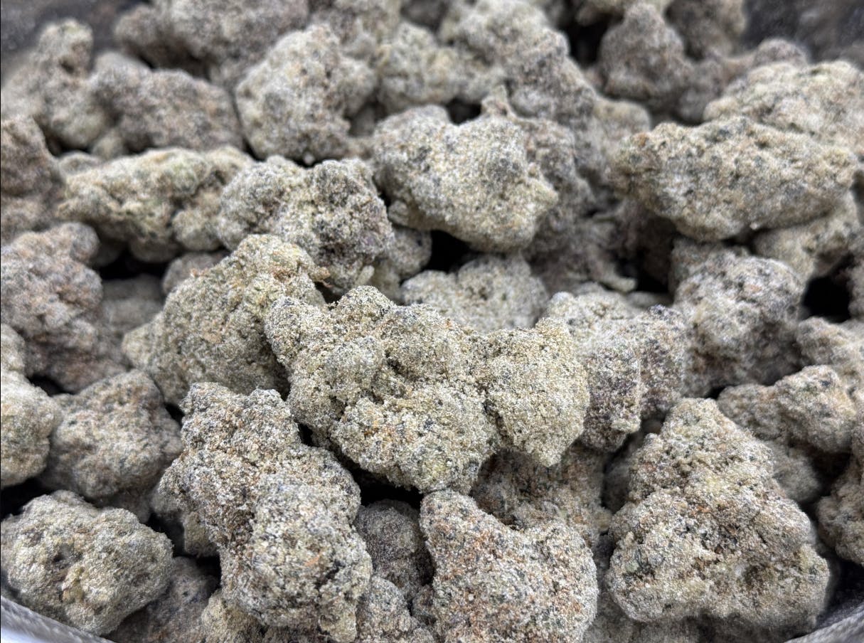Product: Gelato Trop | Moon Rocks | Highway Horticulture
