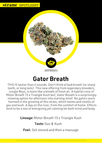 Gator Breath | 3.5g-1