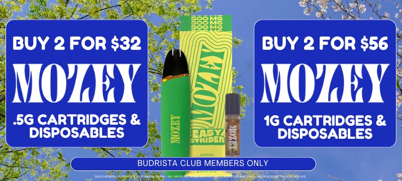 can you buy flavored vapes in new york UPDATE: New York State to Lift Flavored Vape Ban Now?