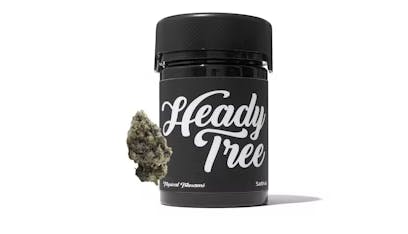 Heady Tree - 3.5g Flower Jar - Tropical Tsunami