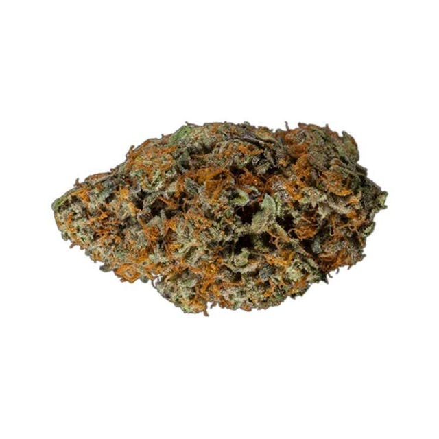 Gelato (also known as Gelato #33 or Larry Bird) is a fairly potent (THC levels reportedly about 20%), (most say) delicious, nicely balanced, (slightly) Indica-Dominant, daytime hybrid union of Sunset Sherbet and Thin Mint Girl Scout Cookies. Experienced consumers will enjoy the sweet orange, blueberry flavor as this chatty strain often elicits deep thoughts and a warm body buzz.