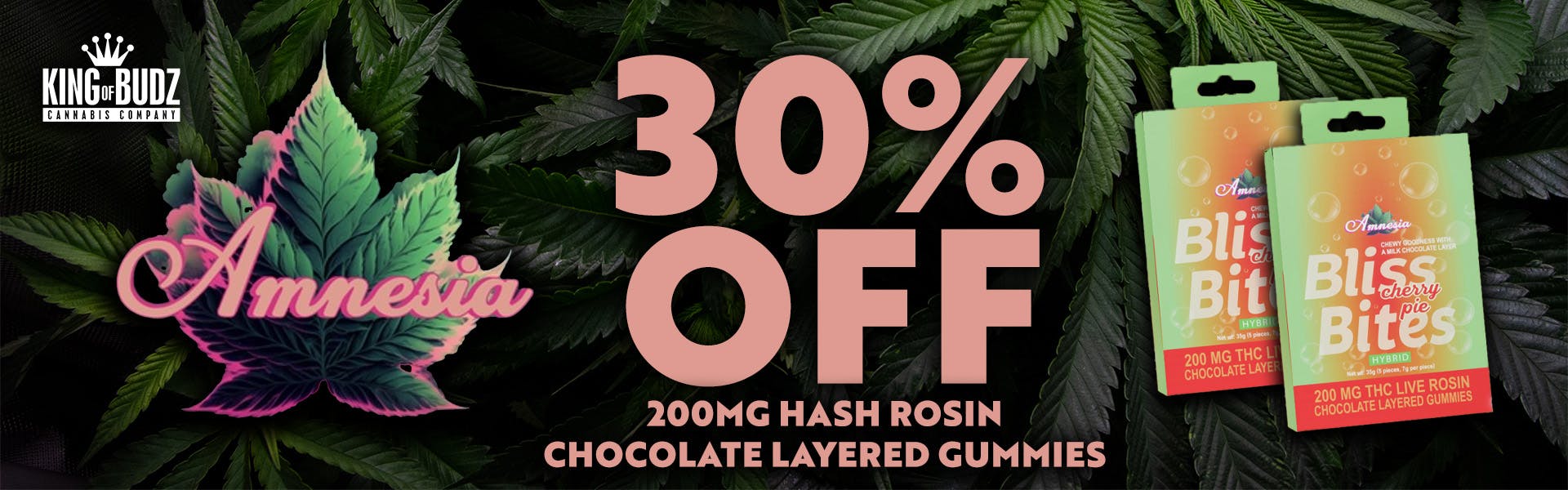 Amnesia - Bliss Bites - 200mg Hash Rosin Chocolate Layered Gummies - 30 Percent Of