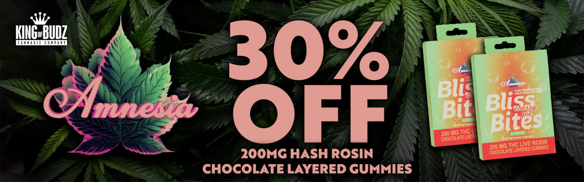 Amnesia - Bliss Bites - 200mg Hash Rosin Chocolate Layered Gummies - 30 Percent Of