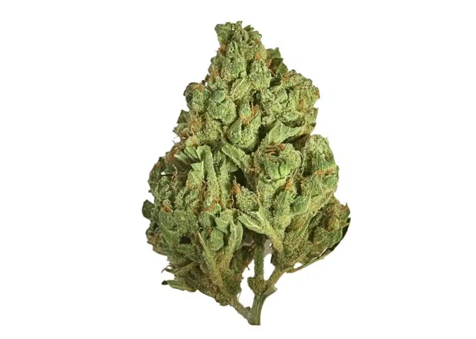 Photo of House of Sacci – Purple Thai 3.5