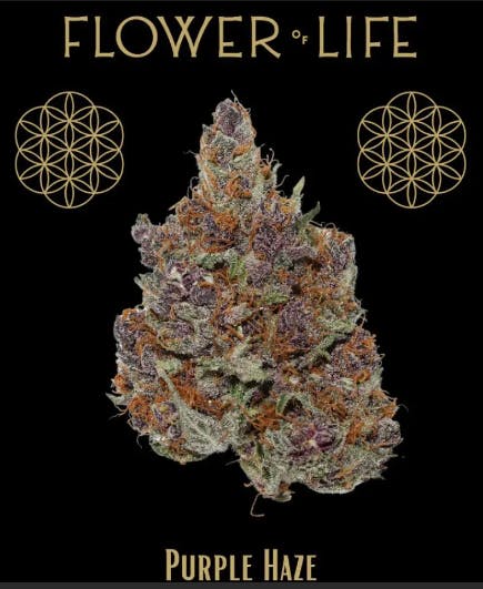 3fb99879a32726d37be05e4dd3b5a07a