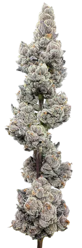 Ethanol-2
